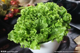生菜