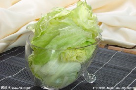 圆生菜