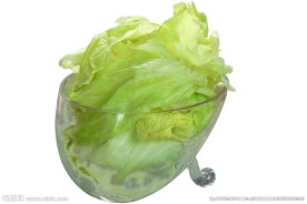 圆生菜