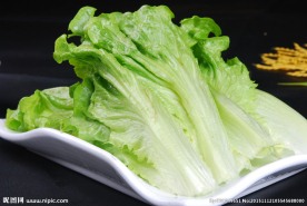 生菜