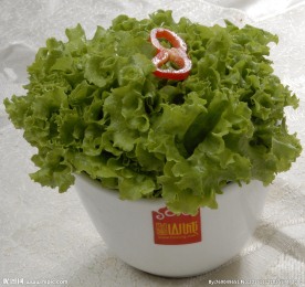 生菜