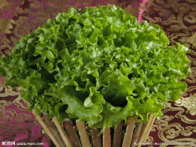 生菜