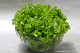 生菜