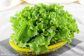 生菜