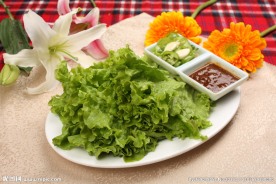 生菜