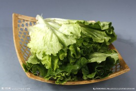 蚝油生菜