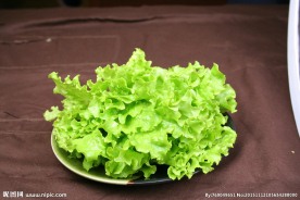 生菜