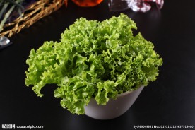 生菜