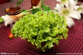 生菜