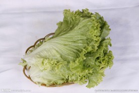 生菜