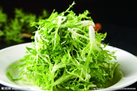 芥茉油菊生菜