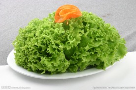 生菜