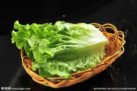 生菜