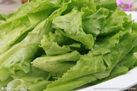 生菜