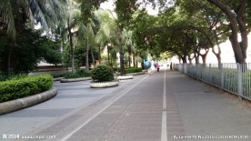 绿化小路