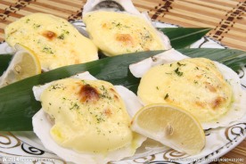 黄油扇贝生耗