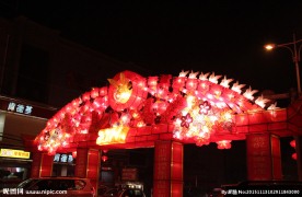 胜芳花灯