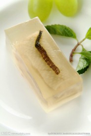 虫草鸭方