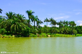 湖边风景