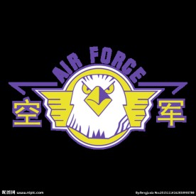 空军联航雄鹰篮球队logo