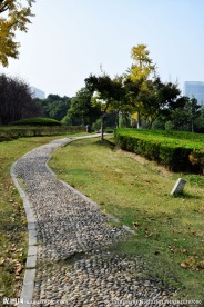 绿化小路