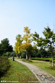 秋季景色