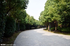 绿化小路