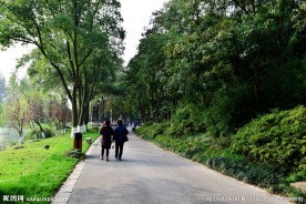 绿化小路