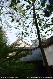 亭林公园