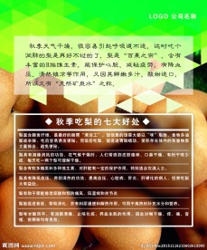 灯箱片