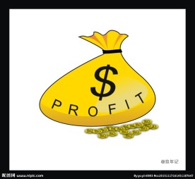 钱袋 硬币 财富 投资 收入