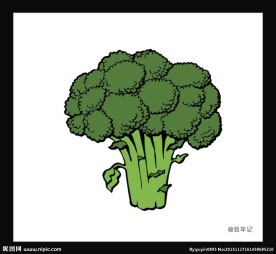 西兰花 十字花科 健康 新鲜