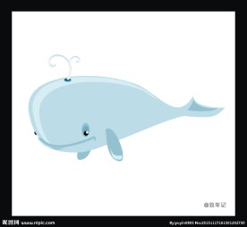 鲸鱼 座头鲸 海洋