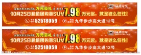 汽车车身贴