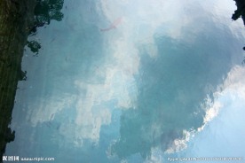 鱼游云影