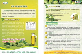 橄榄油宣传单