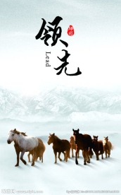 企业展板 企业文化 领先