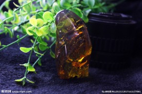 万福 琥珀