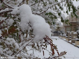 下雪