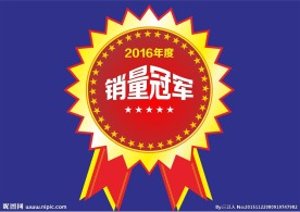 销量冠军 爆炸花造型