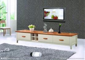 伟雅达客厅家具 电视柜海报