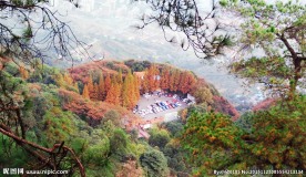 缙云山