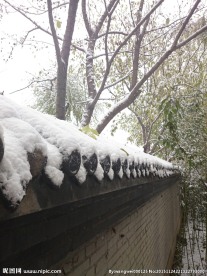 雪落砖墙