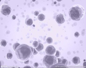生物医学动态视频