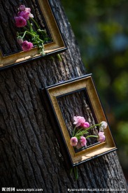 婚礼布置 现场装饰