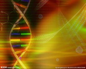 生物医学动态视频