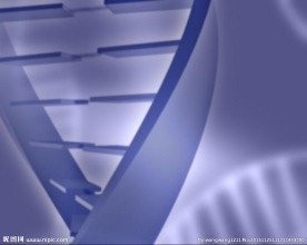 生物医学动态视频