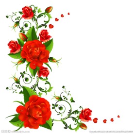 玫瑰花矢量素材