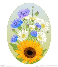 美丽太阳花矢量素材