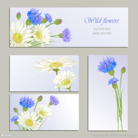 美丽太阳花矢量素材